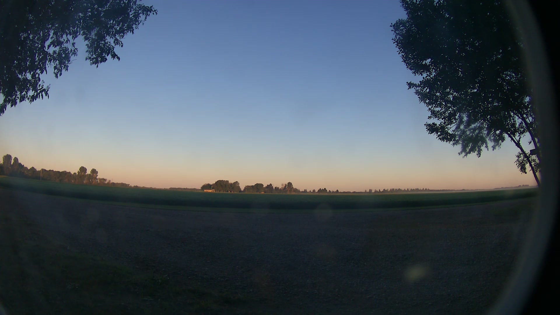 20210618_1049.jpg