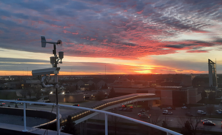 Clifford Hall TIMMS00200